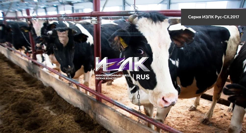Особенности разработки проекта